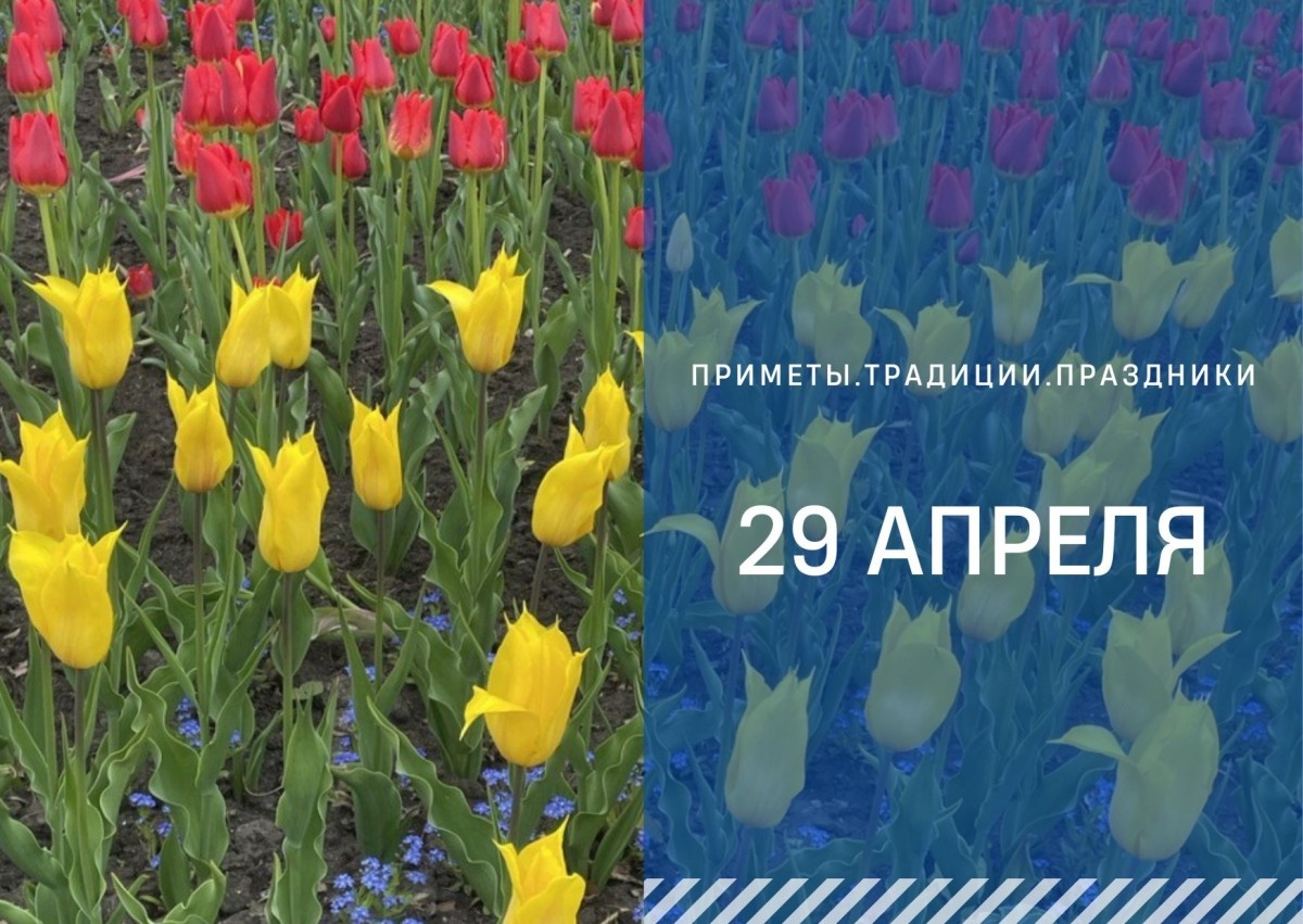   ГТРК "Ставрополье"