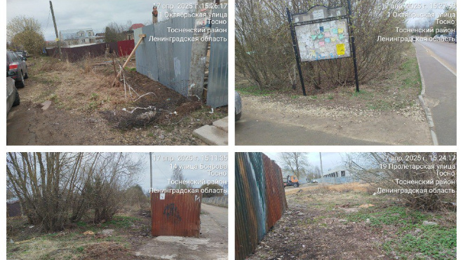 Фото: Госэконадзор Ленобласти