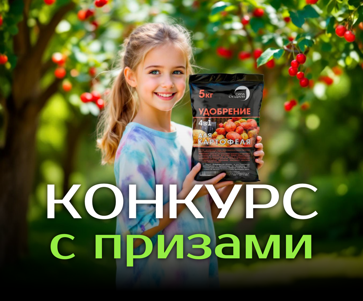 Проводим майские с детьми и с пользой для бюджета