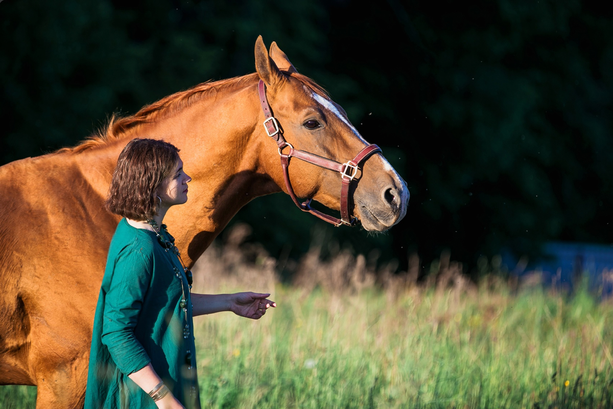 Донской жеребец Глицерин 69 (Гасан - Люстра)
восточно-верховый внутрипородный тип
1997-2021гг