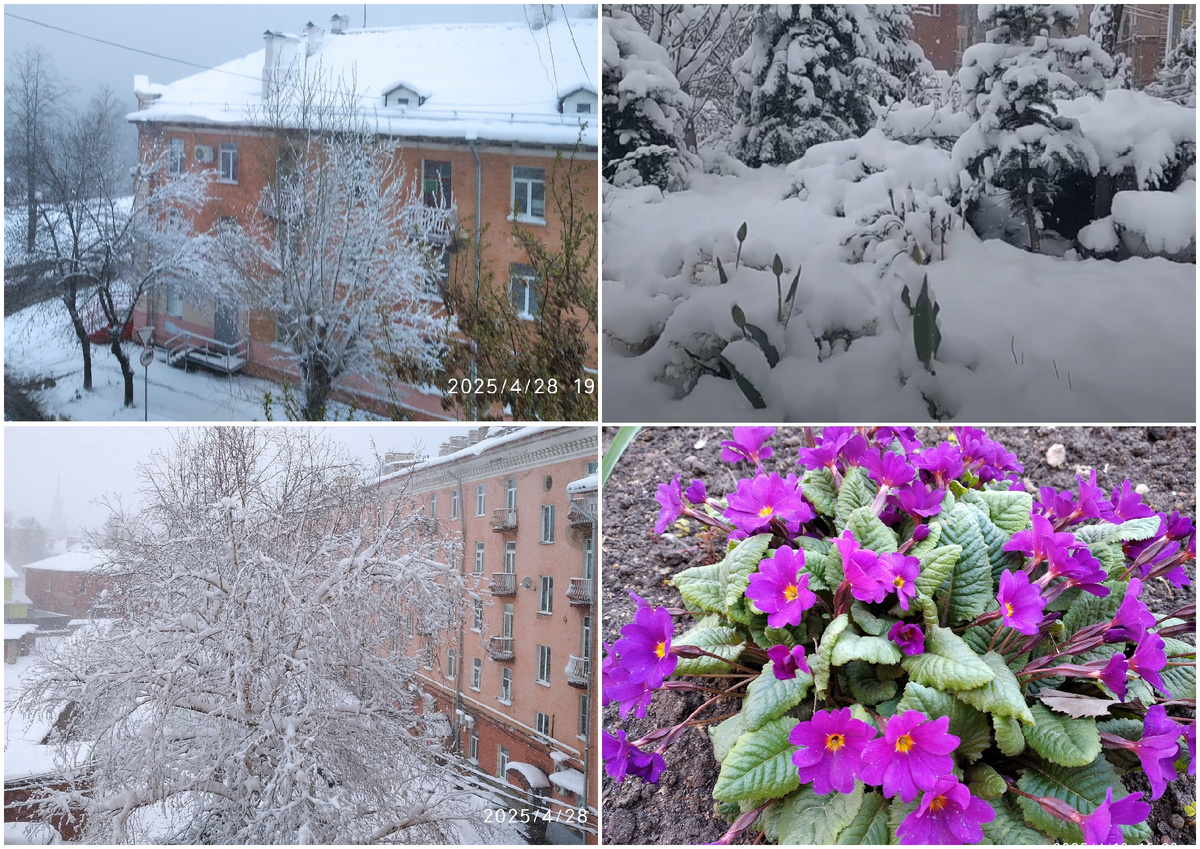Было - стало, еще и ветер ураганный, мои фотографии и коллаж