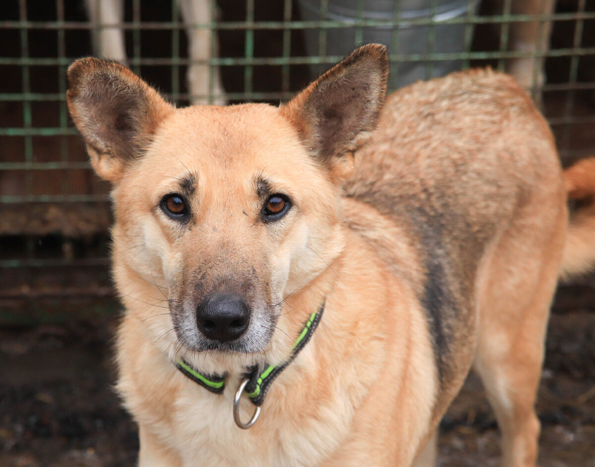 Не жалей страдания умерших. Жалей живых, и в особенности тех, кто живет без любви