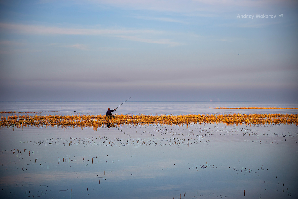 Северный берег острова Котлин в районе "Шанхая"