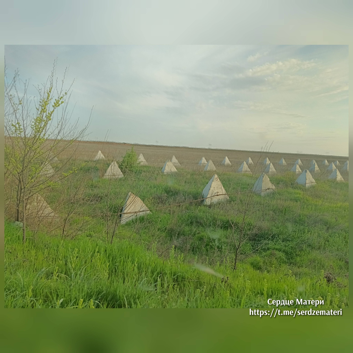 Зубы дракона и ни души..... И мы мчим на скорости...... Запорожский фронт..... 