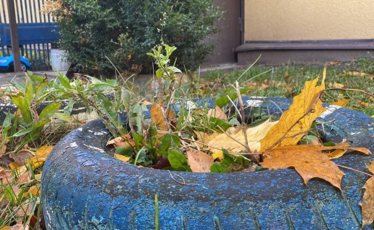    фото Курские известия