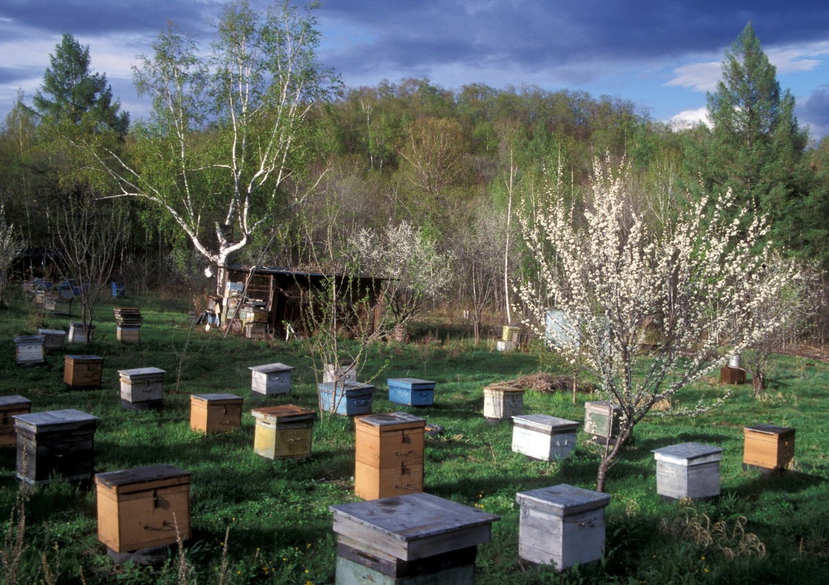 фото: Konstantin Mikhailov/Russian Look/Global Look Press