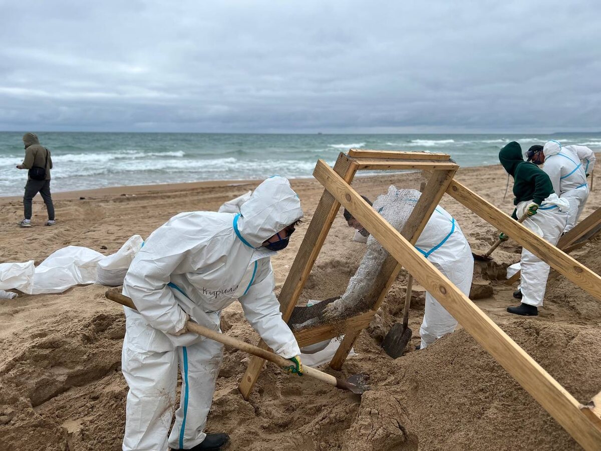    Фото: Оперштаб Кубани