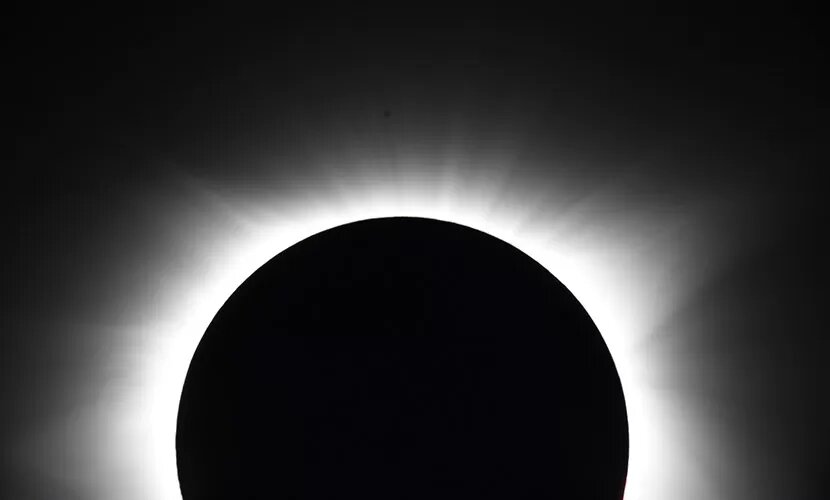 Источник: Laura Skinner / Unsplash