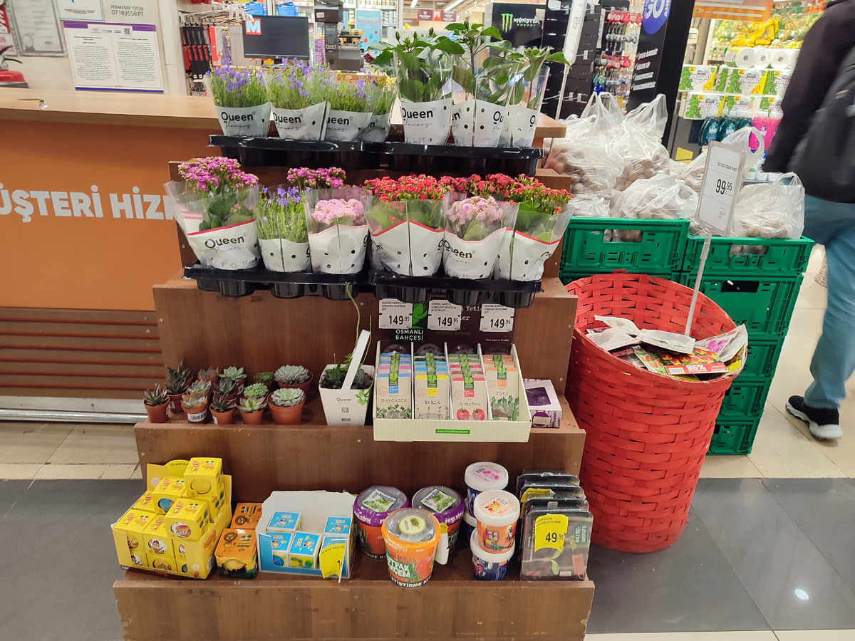 Чтобы понять цену в рублях, цену, указанную на ценнике умножайте на 2. В горшочках на нижней полке  наборы "вырасти сам", в красной корзине - упаковки с полузасохшими луковичными, в большинстве -лилиями, 100% просрочка 