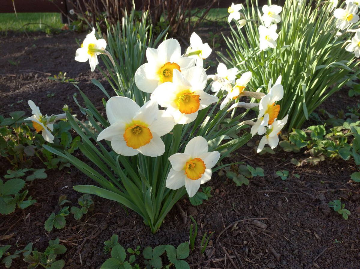 За окном прекрасная погода.