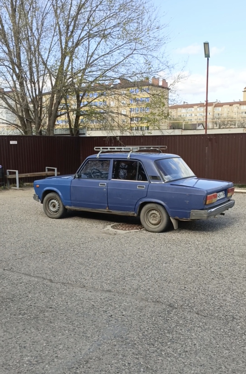 Семёрочка на отдыхе.