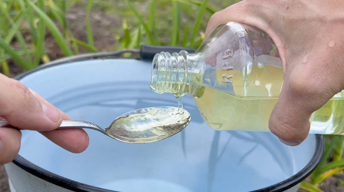 одна ложка на введро воды