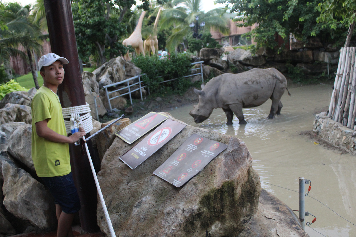 А вот так: решеток нет!