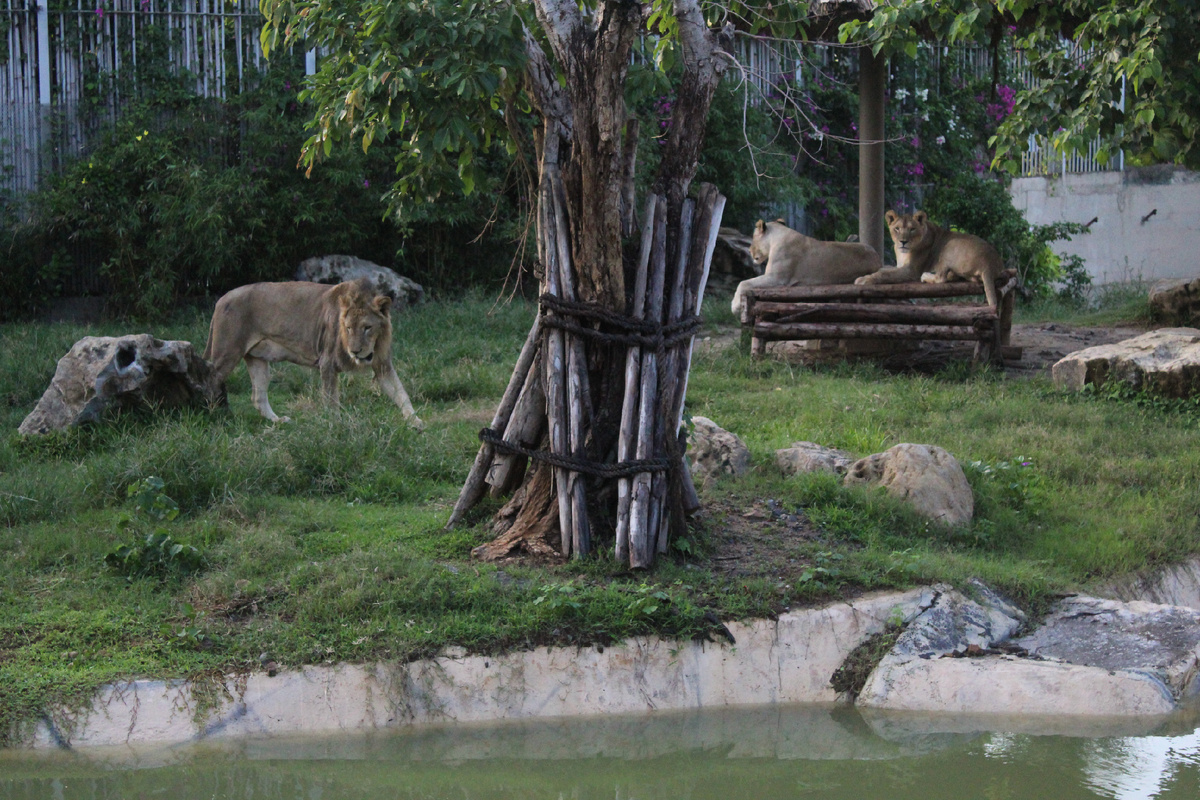 И тут тоже нет