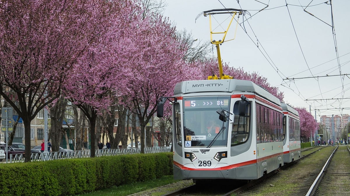     Фото: Пресс-служба администрации Краснодара