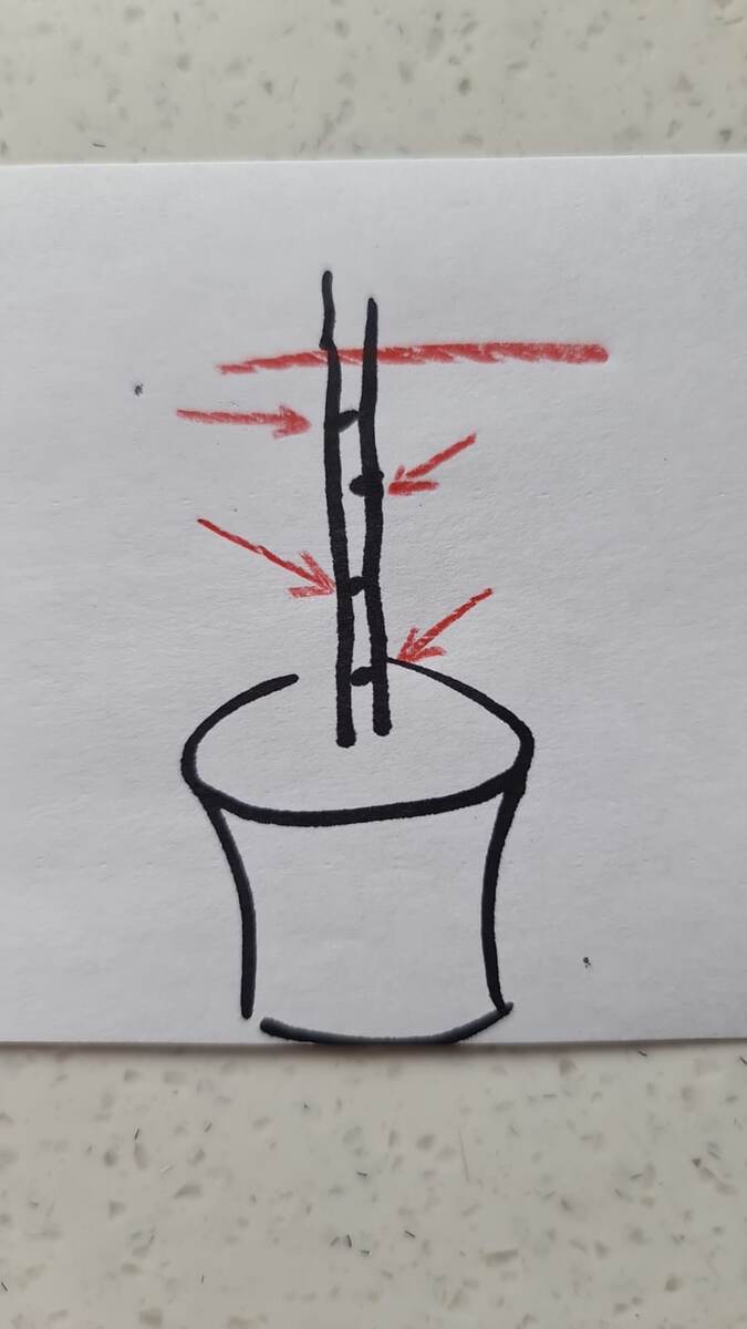 На этом рисунке более наглядно. Я не художник, физик,  поэтому за художественные способности прошу простить.