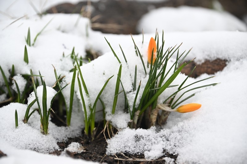    ФОТО: © KOMSOMOLSKAYA PRAVDA/GLOBAL LOOK PRESS