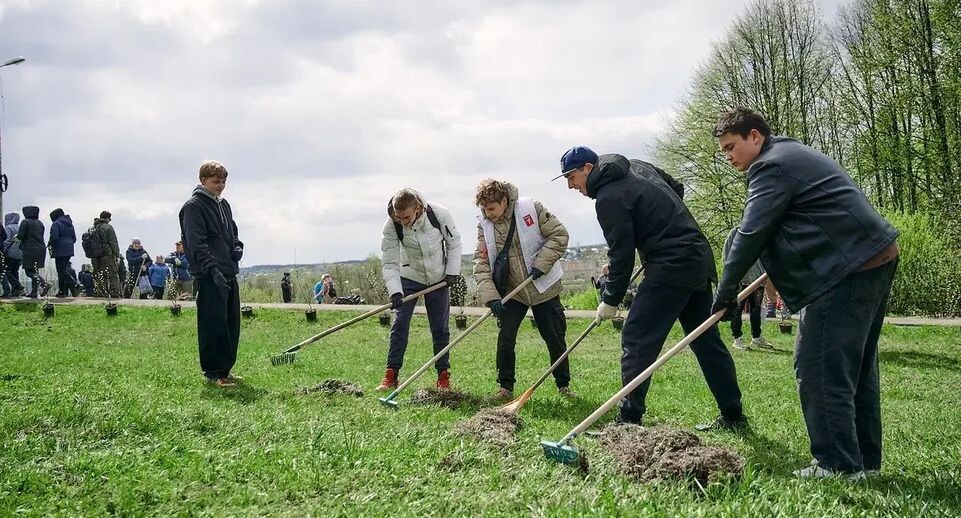   Министерство информации и молодежной политики Московской области
