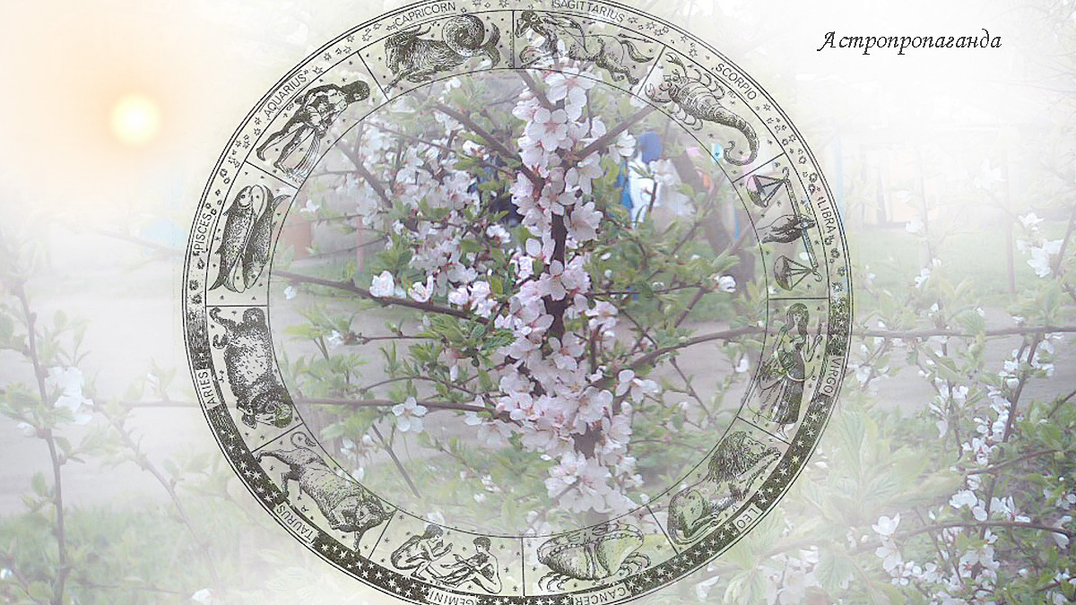 Гороскоп с 28 апреля по 4 мая 2025: злое Солнце, добрый Уран, странная Венера | Недельный гороскоп