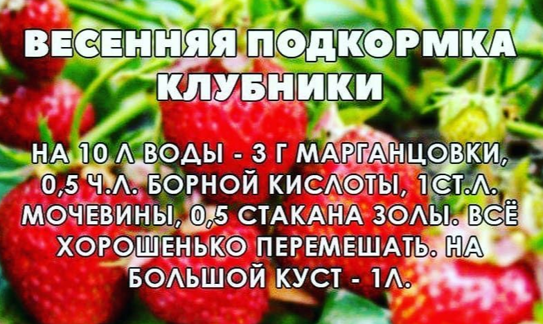 еще один рецептик