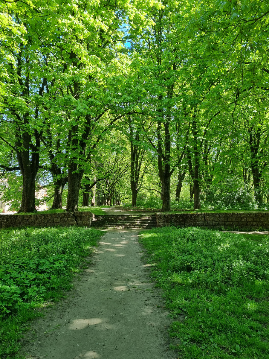 Калининград. Фото автора статьи.