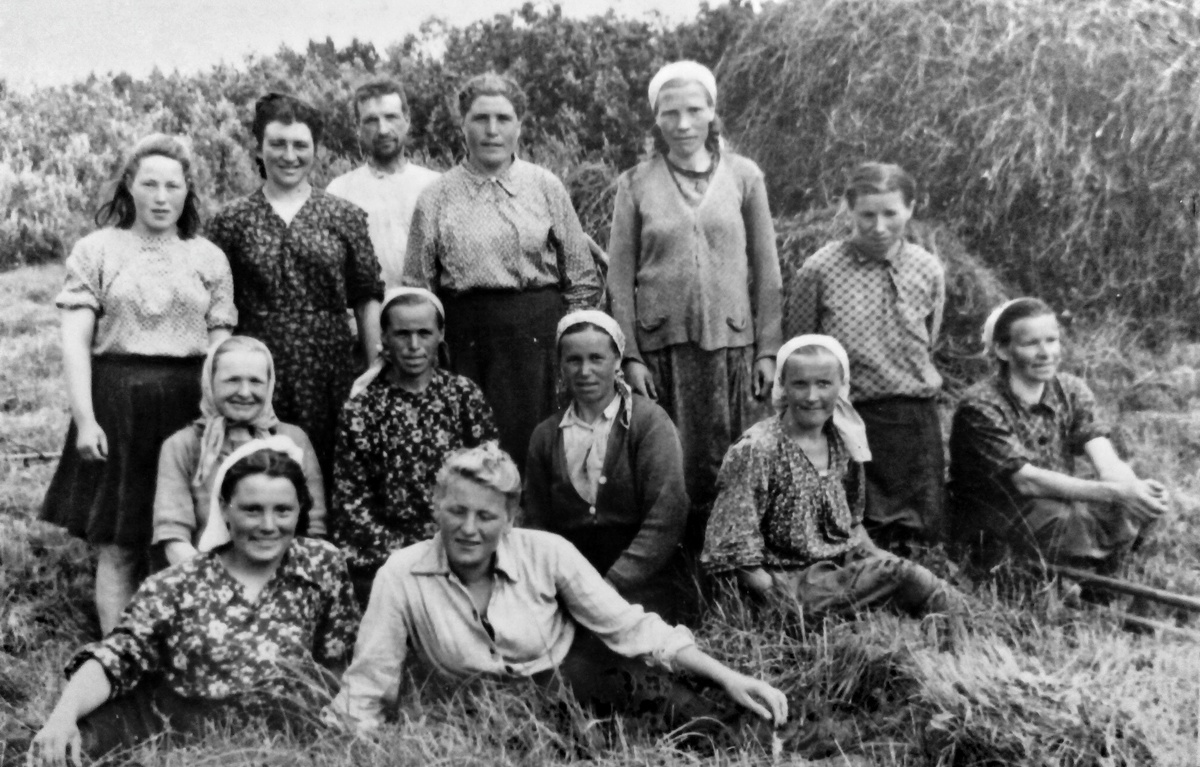 Моя мать-бригадирша (слева в первом ряду) с колхозной полеводческой бригадой на сенокосе. Фото 1953 года из личного архива автора.