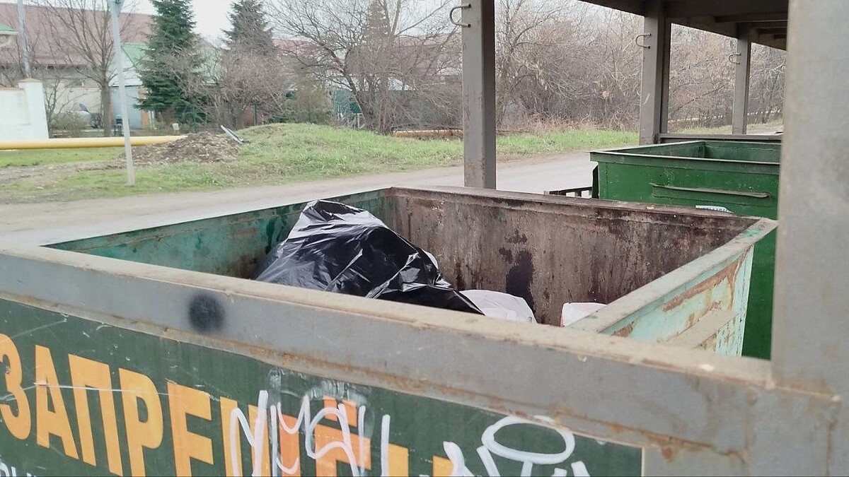    Фото: телеканал «Краснодар»