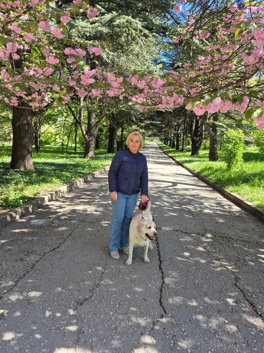 Я и Персея на прогуке в ботаническом саду, на кедровой аллее тоже растет сакура, очень красиво цветет.