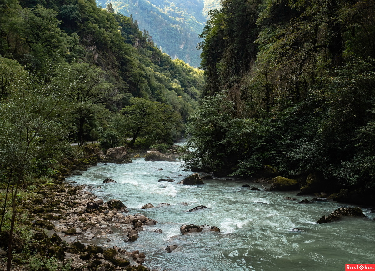 Фото из интернета 