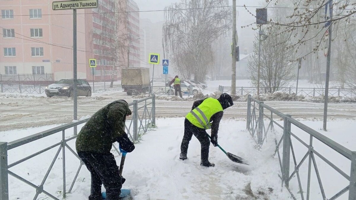     Источник: gorodperm.ru