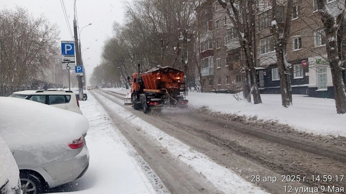     Источник: gorodperm.ru