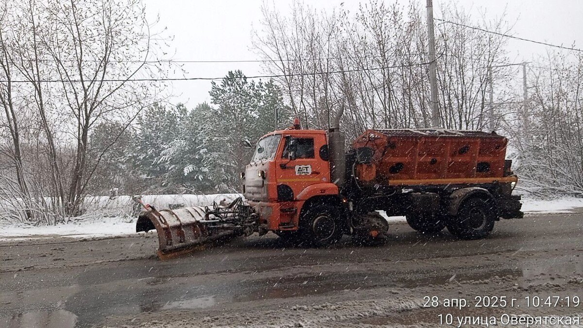     Источник: gorodperm.ru