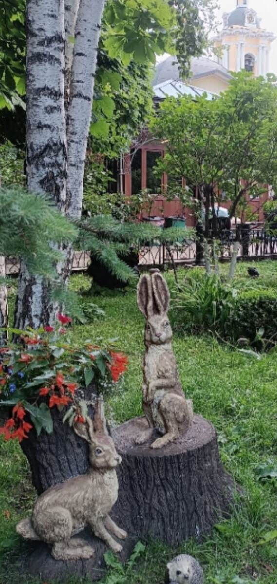 Святое место. У Матроны Московской.