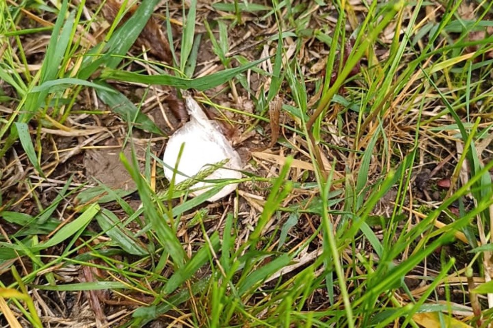 Фото: Telegram/Росгвардия Краснодарский край  📷
