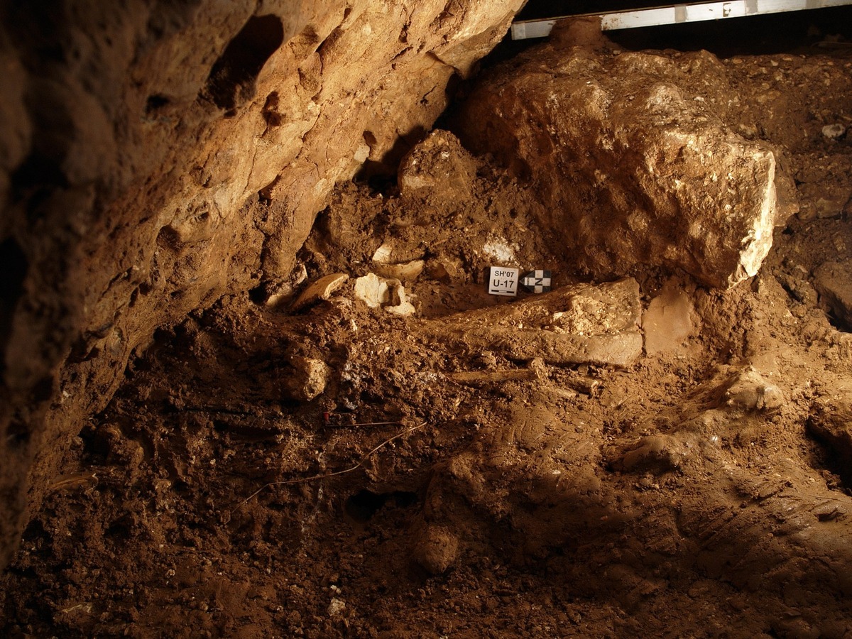 Пещера «Костная яма» в Испании. В этой пещере были найдены останки 28 человек, живших более 400 000 лет назад.