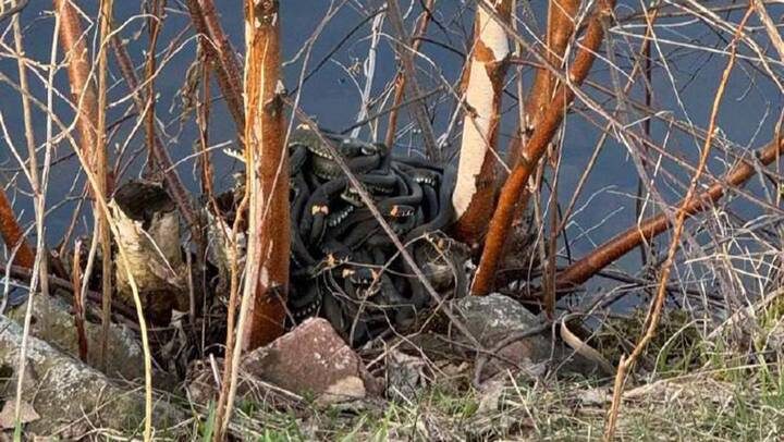  Фото: t.me/pav_pav_posad