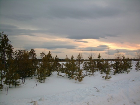 Фотографии Татьяны Немшановой. Сибирь, Приполярный Урал, Зауралье, Тайга Крайнего Севера ХМАО Югра. Верховое болото. Весна, апрель северный таёжный.