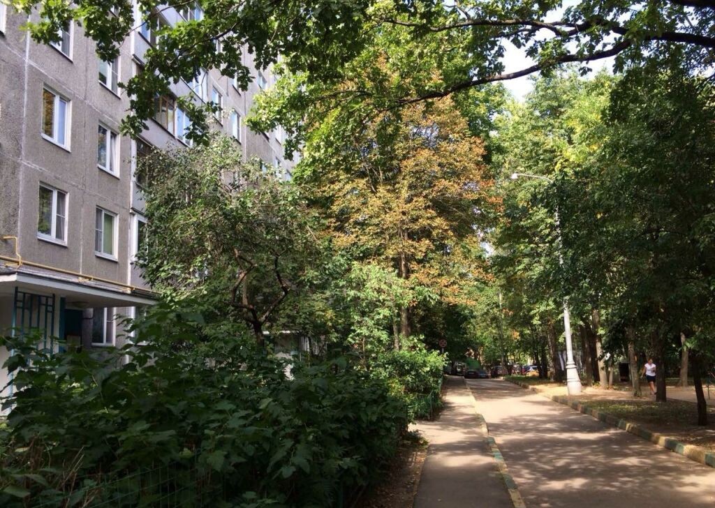 Фото Яндекс картинки