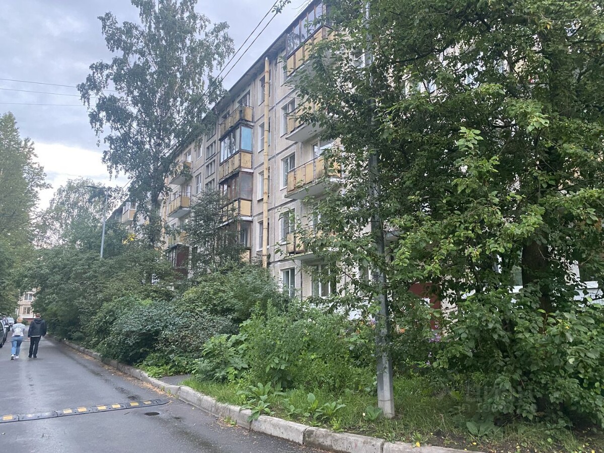 Фото Яндекс картинки