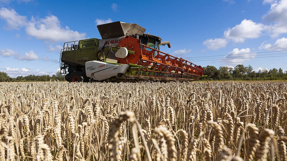 Фото: Александр Подгорчук / Коммерсантъ
