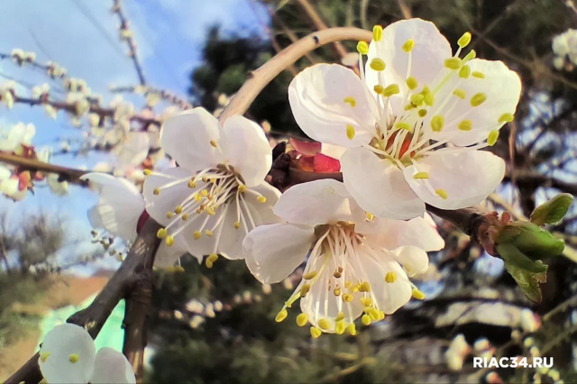 Лунный календарь садовода и огородника на май: отдыхать некогда