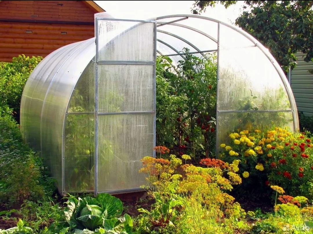 Фото из открытого источника