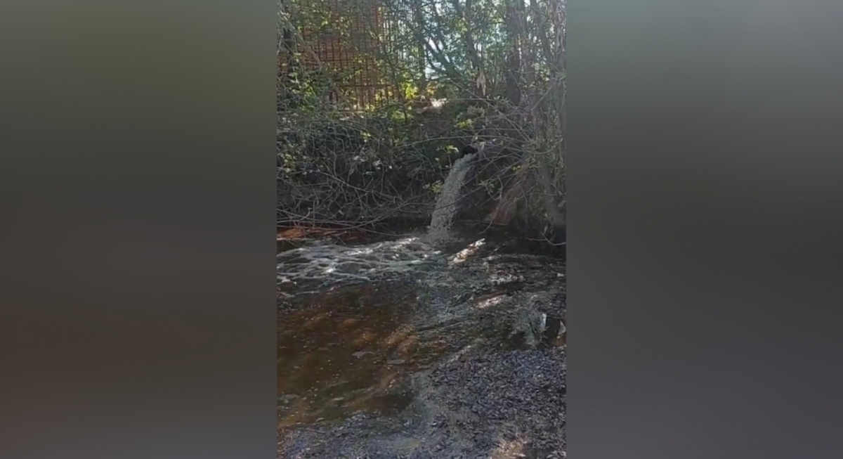    В Энгельсе начали наполнять пруд около дома отдыха «Ударник»Новости Саратова и области – Сетевое издание «Репортер64»