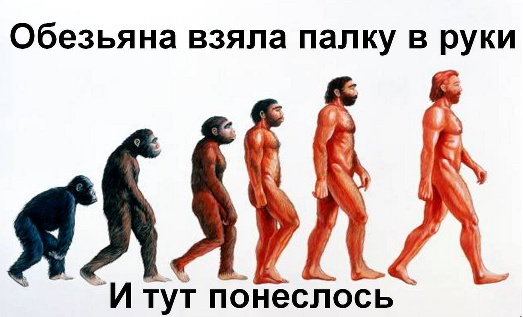 Источник: https://immunocap.ru
