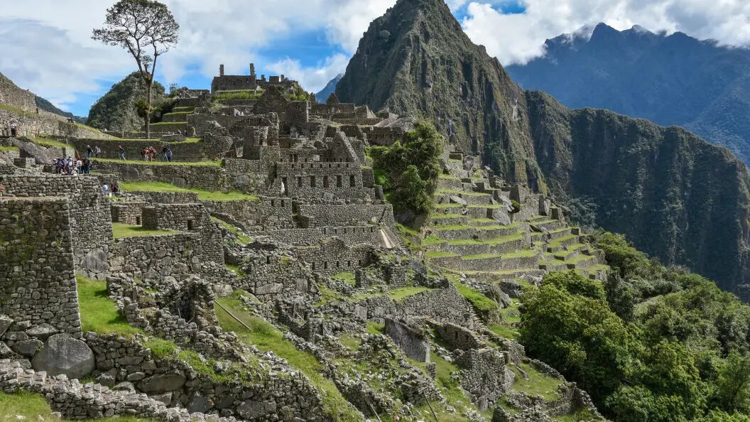    Harald von Radebrecht/Globallookpress