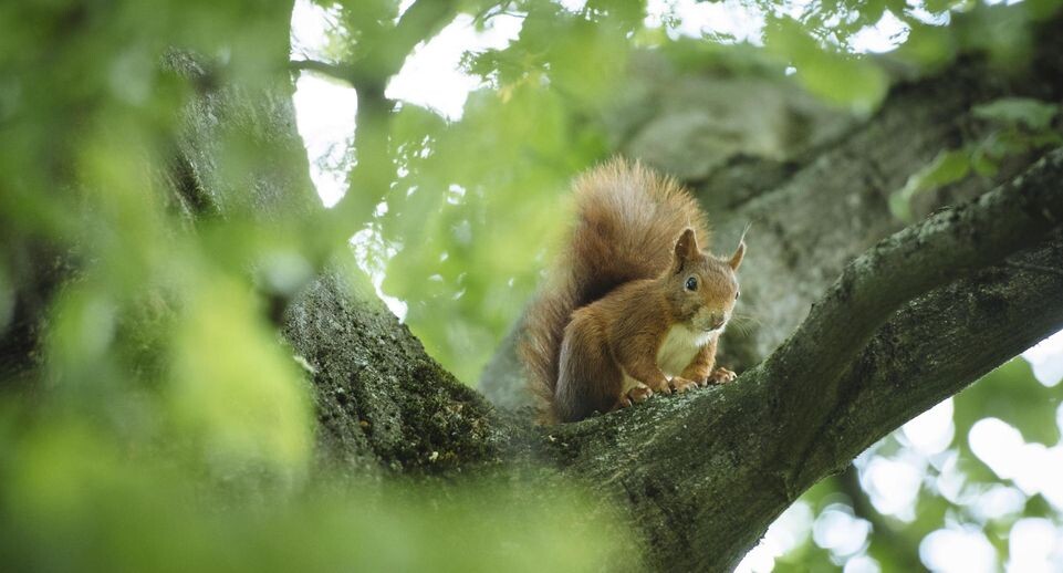    Olaf Krüger/imageBROKER.com / www.globallookpress.com