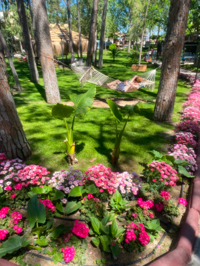 Gypsophila Club Marine 5* Турция 2025