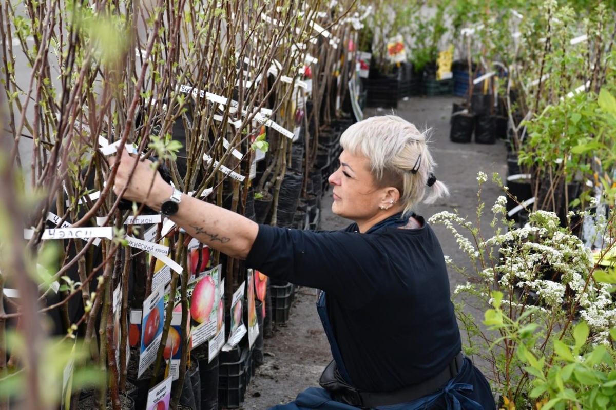    Фото: "Республика" / Оксана Кудряшова
