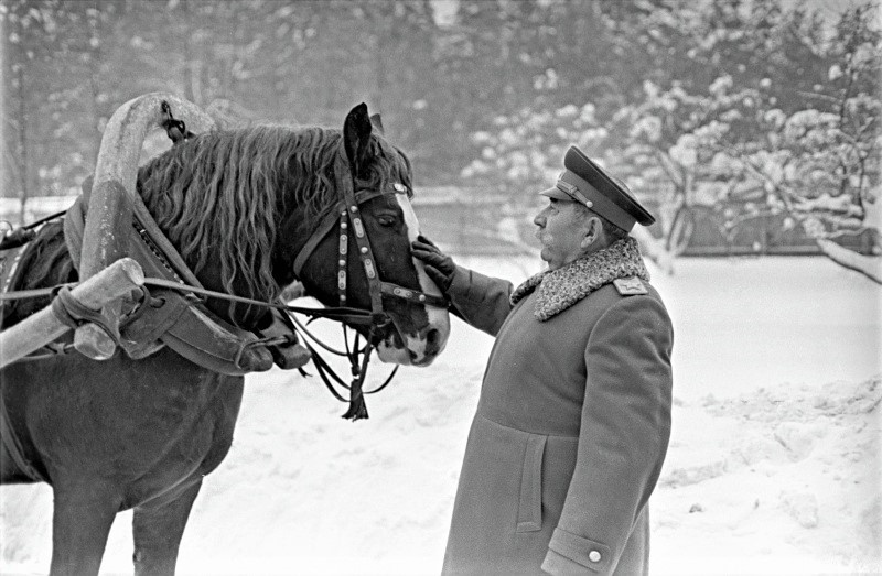 Семён Михайлович не мог пройти стороной даже мимо простой рабочей лошадки. Они все ему были, как родные.