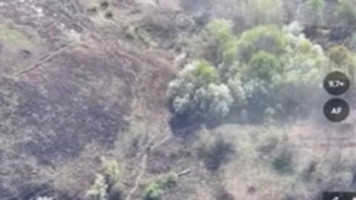    Российская армия полностью освободила Курскую область от оккупантов